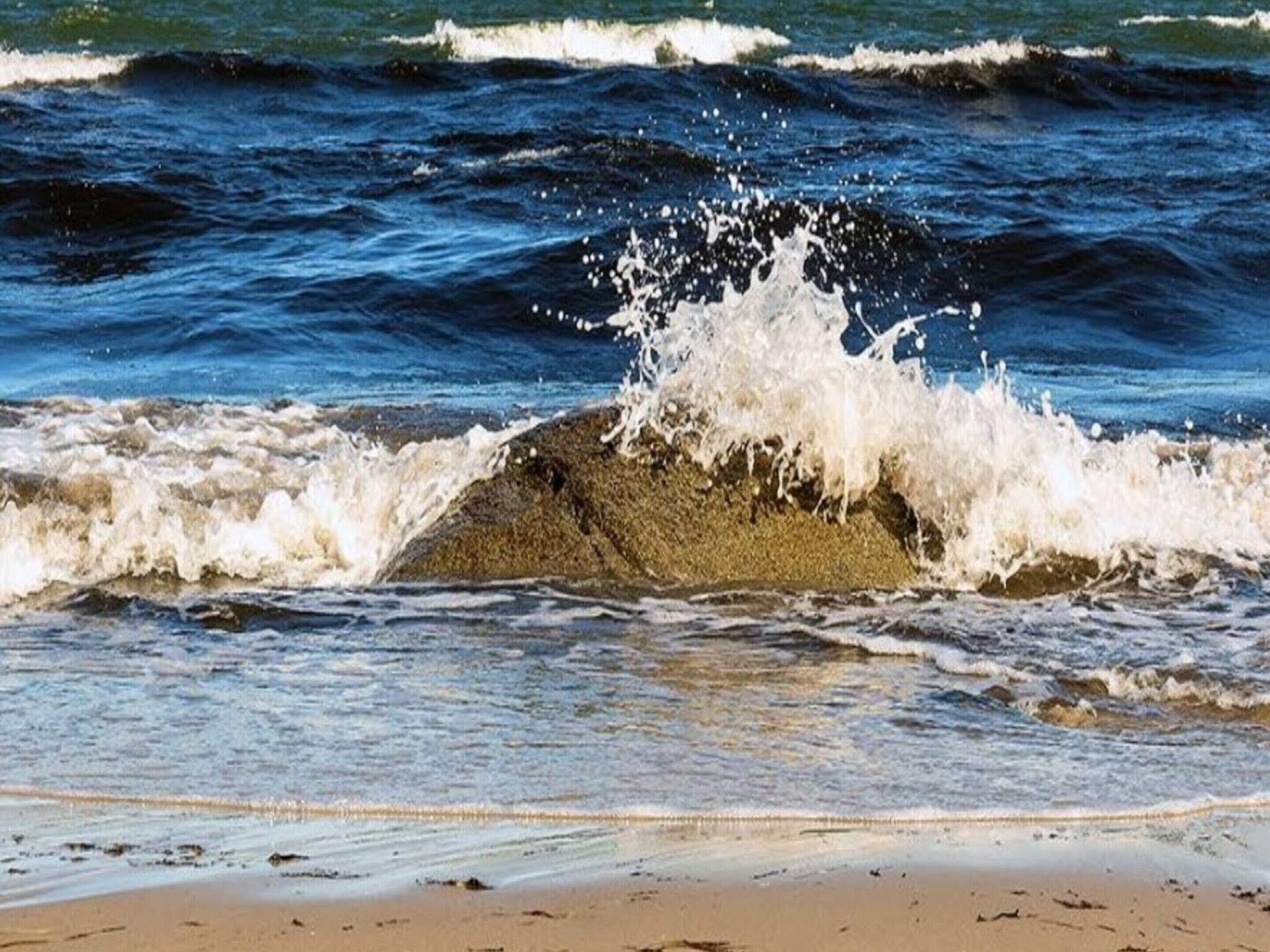 Hus | Udendørsområde