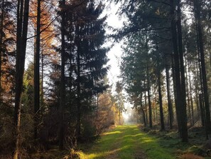 House | Miscellaneous - 4 Person Holiday Home in Skaerbaek (Skaerbaek)