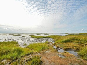 House | Water view - 4 Person Holiday Home in Skaerbaek (Skaerbaek)