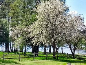 Ferienhaus | Unterkunftsgelände