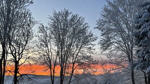 A snowy landscape with bare trees and a clear sky.