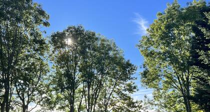 Au bout dâun chemin, La Coustete