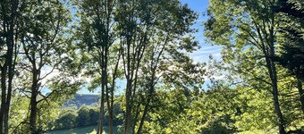 Au bout d'un chemin, La Coustete