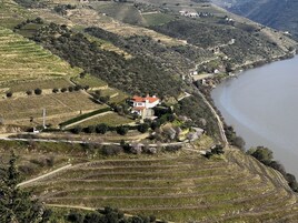 Viñedo con campos escalonados y una casa con techo rojo.