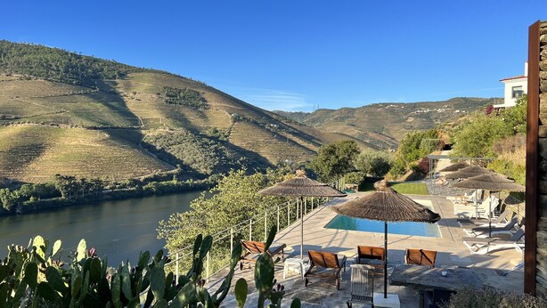Un área de piscina con tumbonas y sombrillas, rodeada de cactus y con vistas a viñedos en terrazas.