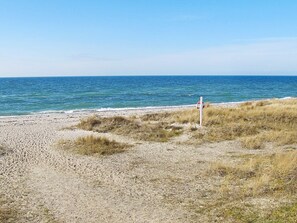 En strand med en sandstrand, ett gräsområde och en klarblå himmel.