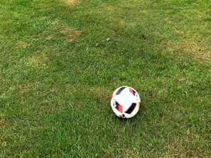 A soccer ball on a grassy field. - 5 Person Holiday Home in Otterup (Otterup)