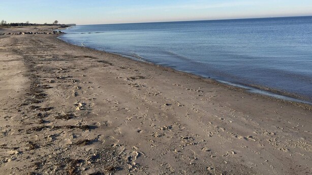 A beach with footprints and a clear sky. - 5 Person Holiday Home in Otterup (Otterup)