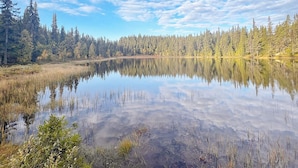 A calm lake surrounded by dense forest and a clear sky. - 5 Person Holiday Home in Ringebu (Ringebu)