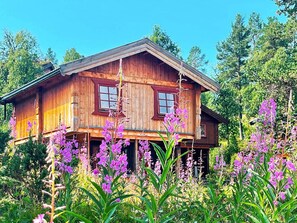 House | Exterior - 5 Person Holiday Home in Ringebu-by Traum (Ringebu)