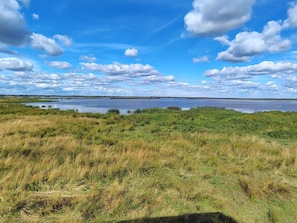 A natural landscape with a lake, grassy fields, and a clear sky. - 4 Star Holiday Home in Hemmet (Hemmet)