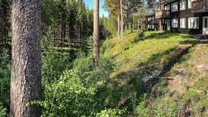 A cabin with a natural forest setting, surrounded by tall trees and dense greenery. - 4 Star Holiday Home in Salen (Salen)