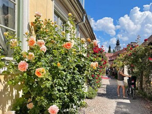 A cobblestone street with a rose bush in full bloom, a building with a window, and a clear blue sky. - 4 Person Holiday Home in Hogklint (Visby)