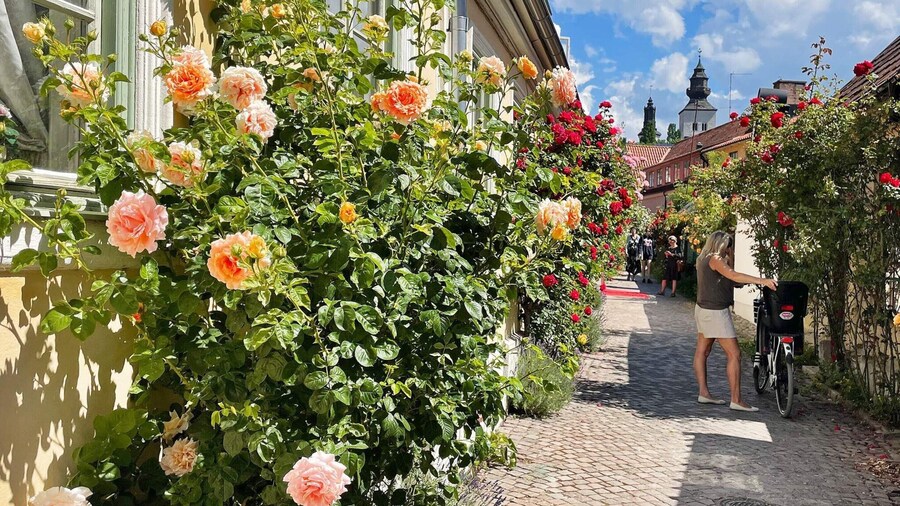 4 Person Holiday Home in Hogklint-by Traum