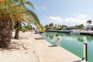 Guests can dock their boats at this tranquil marina surrounded by palm trees.