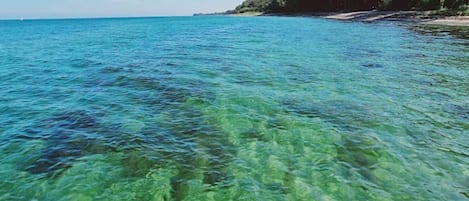 House | Water view