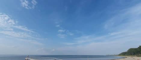수변 전망