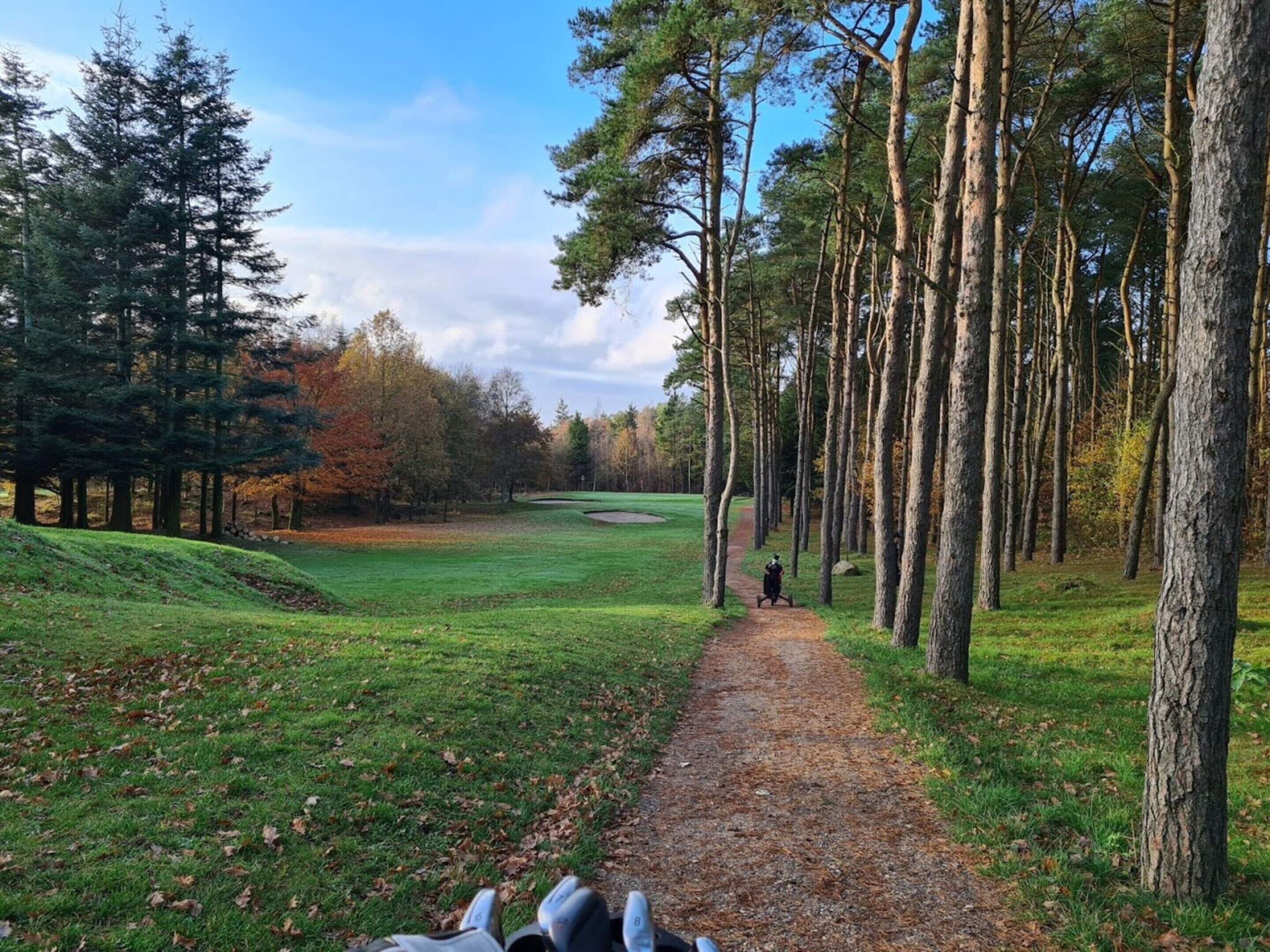 Un sendero serpentea por un área boscosa, con un campo de golf al fondo.