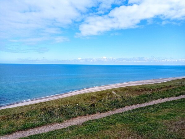 A coastal landscape with a clear sky, a sandy beach, and a grassy path.