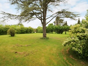 A grassy area with a large tree and various shrubs. - 4 Person Holiday Home in Gilleleje (Gilleleje)