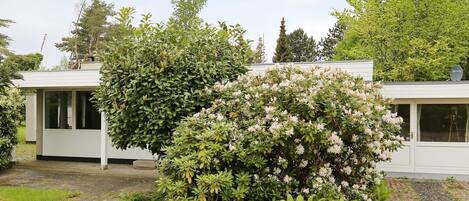 Maison | Terrain de lâhĂ©bergement