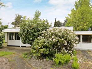 House | Property grounds