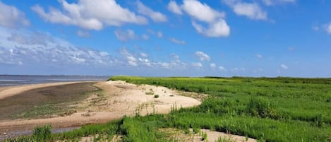 ชายหาด