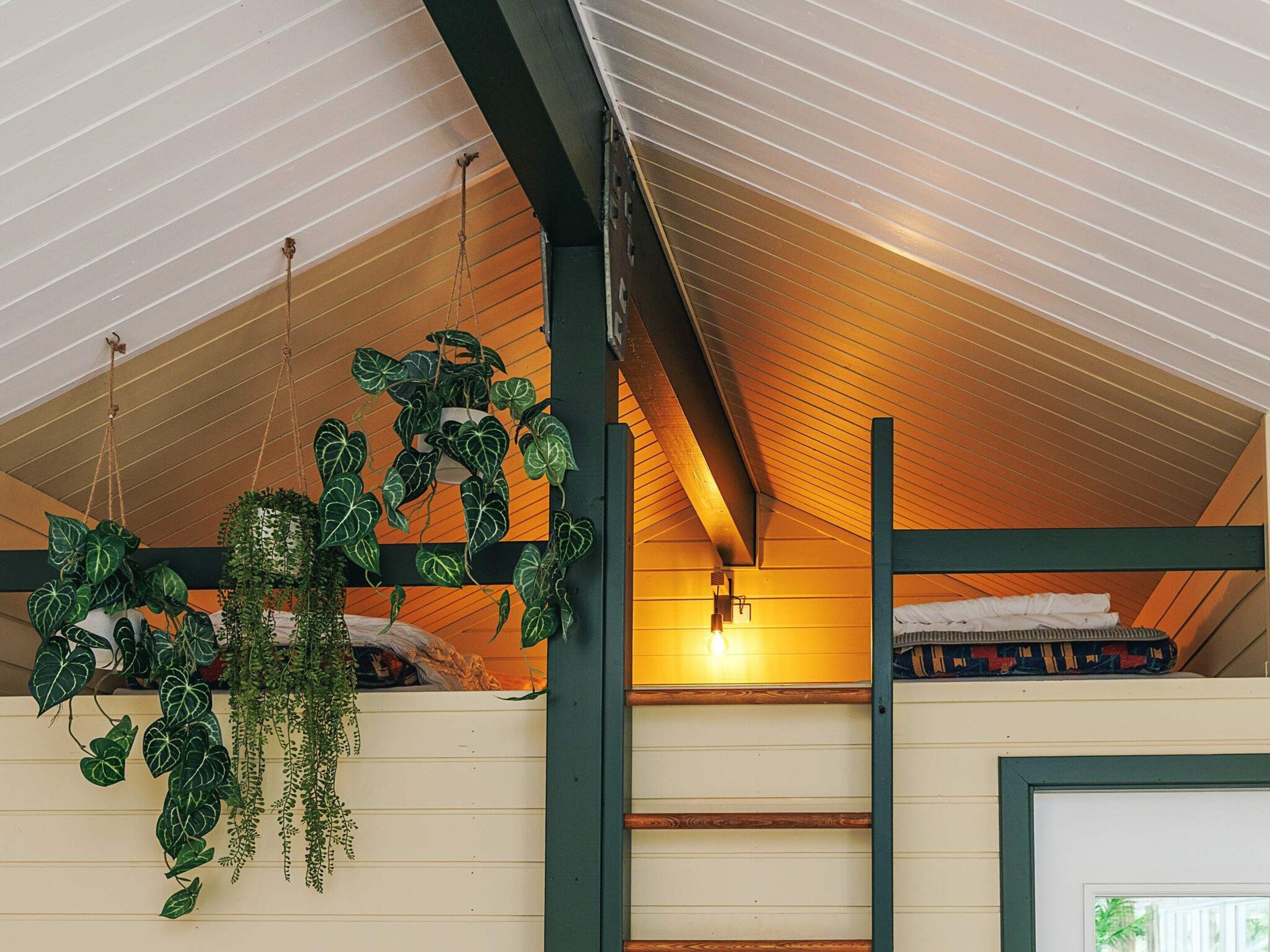 A room with a sloped ceiling, wooden beams, a bunk bed, and hanging plants.