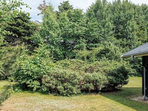 A garden with dense foliage and a building with a sloped roof.