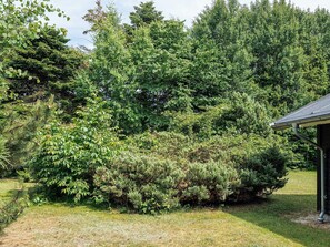 Ein Garten mit dichtem Grün und einem Gebäude mit Schrägdach.