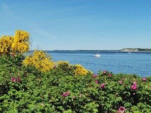 A coastal landscape with a body of water, a boat, and a cliff in the distance.