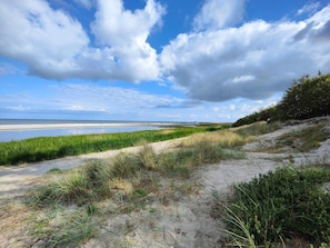 A coastal landscape with a sandy beach, green dunes, and a clear sky. - 4 Person Holiday Home in Hals (Hals)