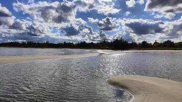 A riverbank with a sandy beach and trees in the background.