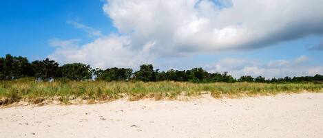 En sandstrand med klitter og en række træer i baggrunden.