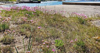8 Person Holiday Home in Stromstad