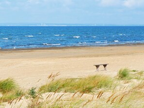 Une plage avec un banc et des dunes au premier plan.