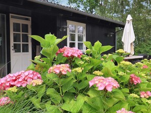 House | View from property