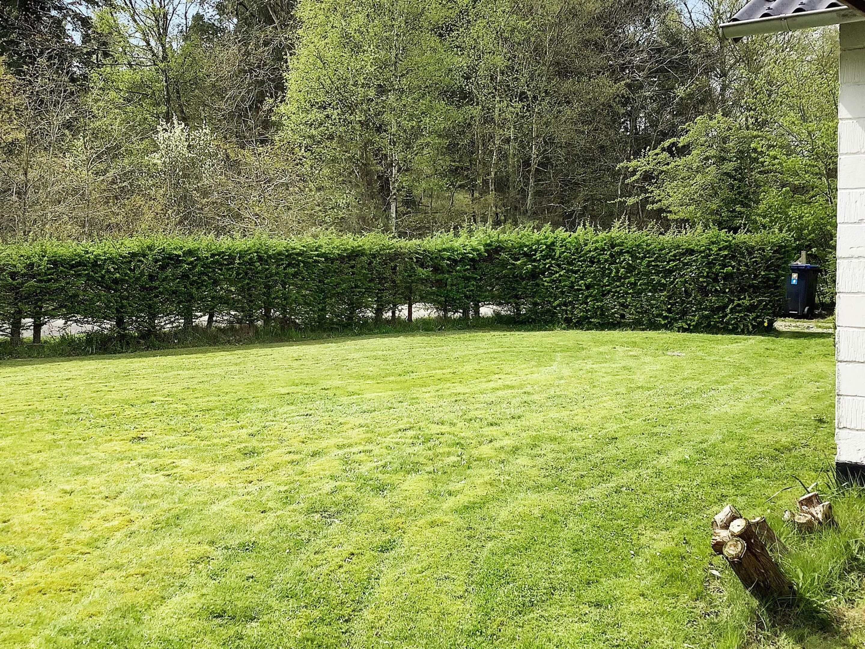 Ein gepflegter Rasen mit einer ordentlich geschnittenen Hecke und einem Holzzaun.