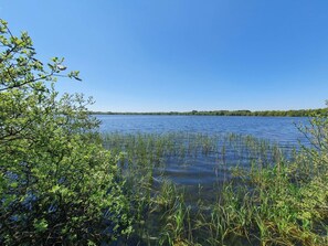 Un lac paisible aux eaux limpides, entouré d’une végétation luxuriante et d’arbres.