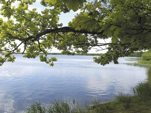 Un lac paisible, avec une branche d’arbre qui se penche au-dessus de l’eau, entouré de rives verdoyantes.