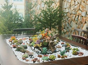 A dining table surrounded by a variety of succulents and cacti, set against a stone wall and wooden chairs.