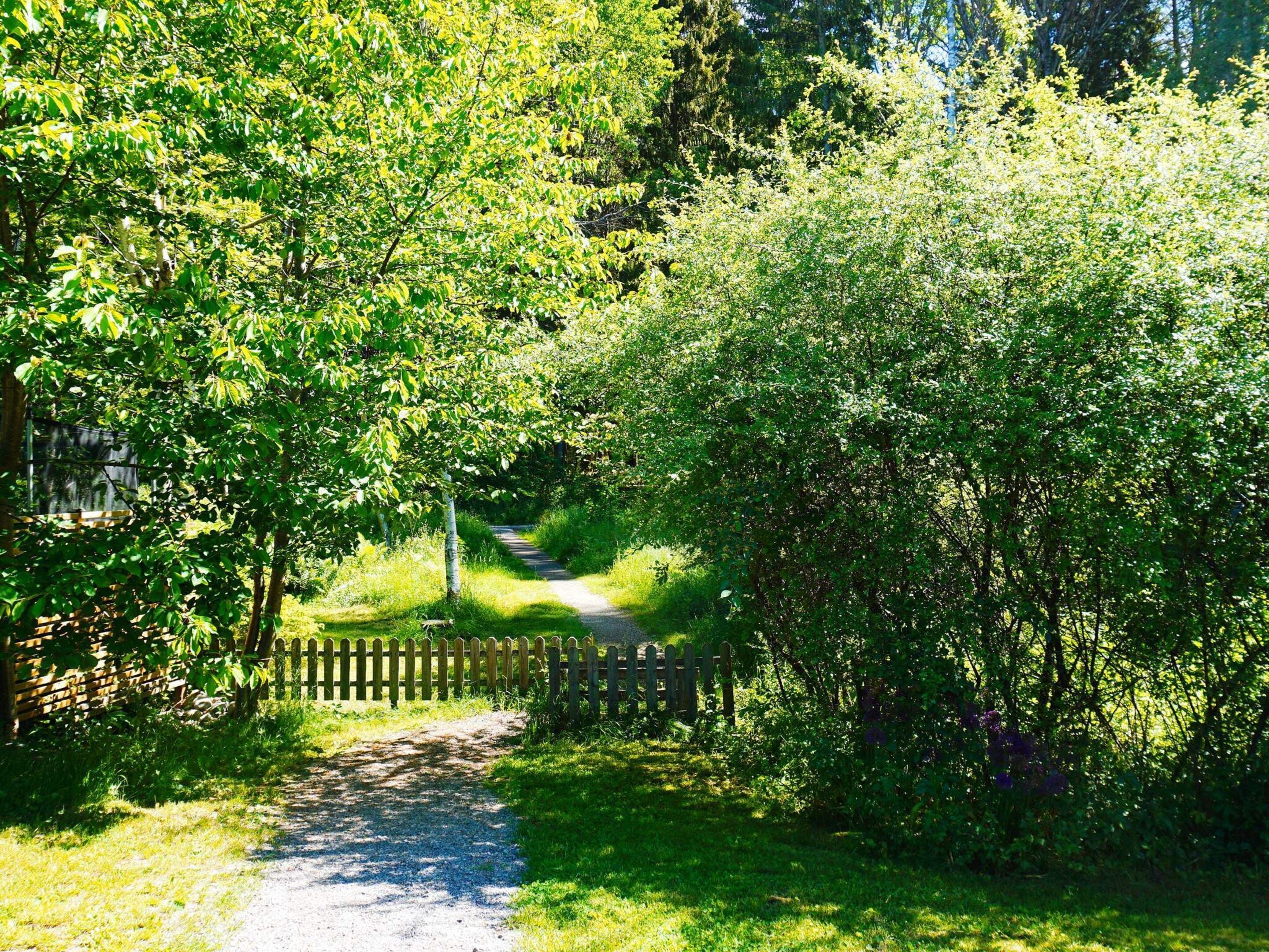 A gravel path leading through a lush green area with dense foliage on both sides.