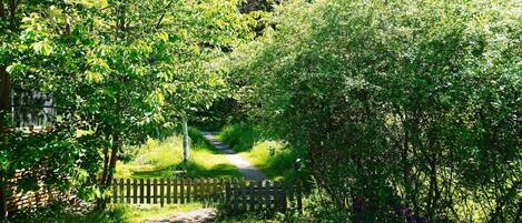 Ferienhaus | Außenbereich