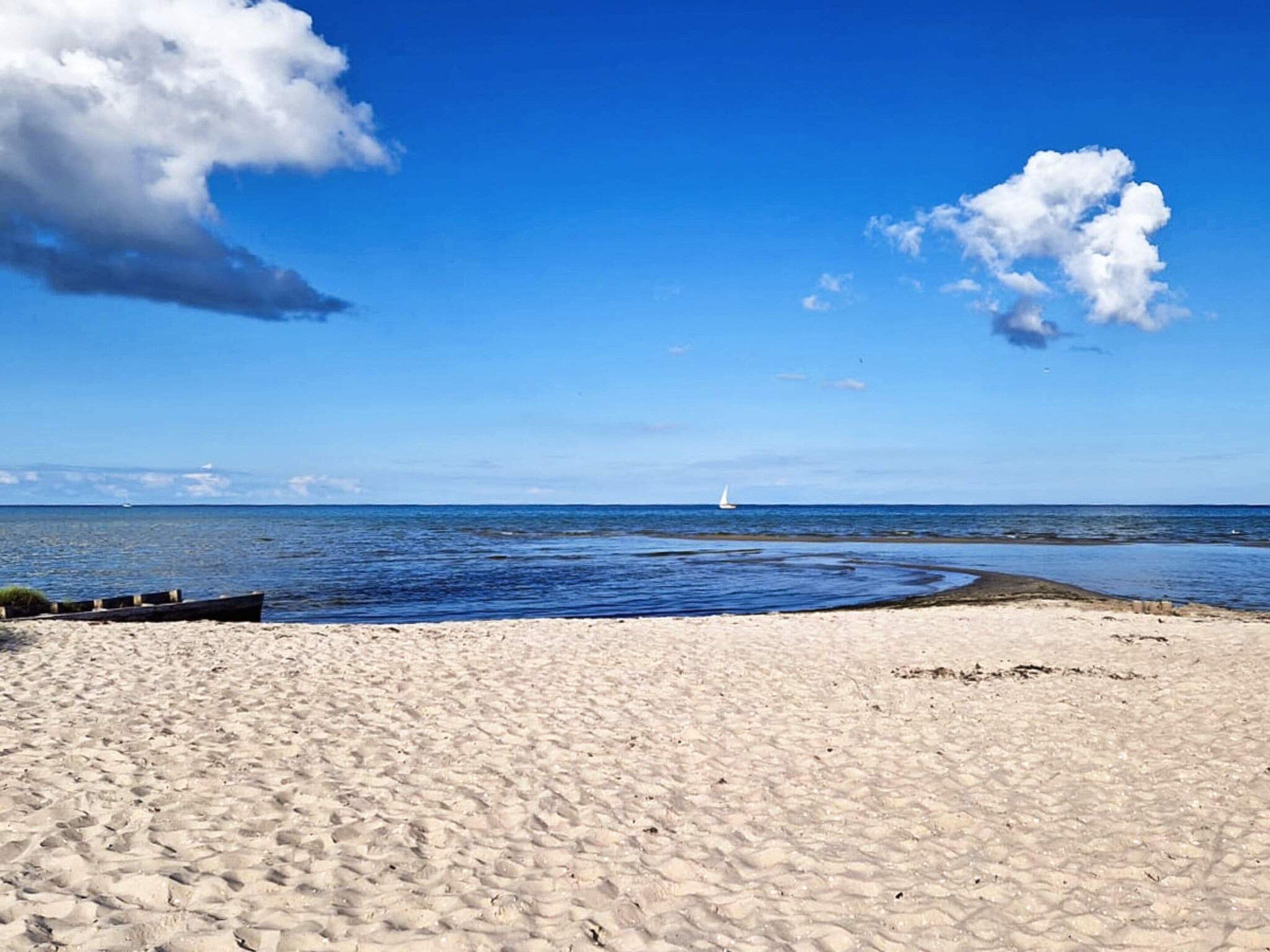 A sandy beach with a clear blue sky, a sailboat in the distance, and a calm sea.