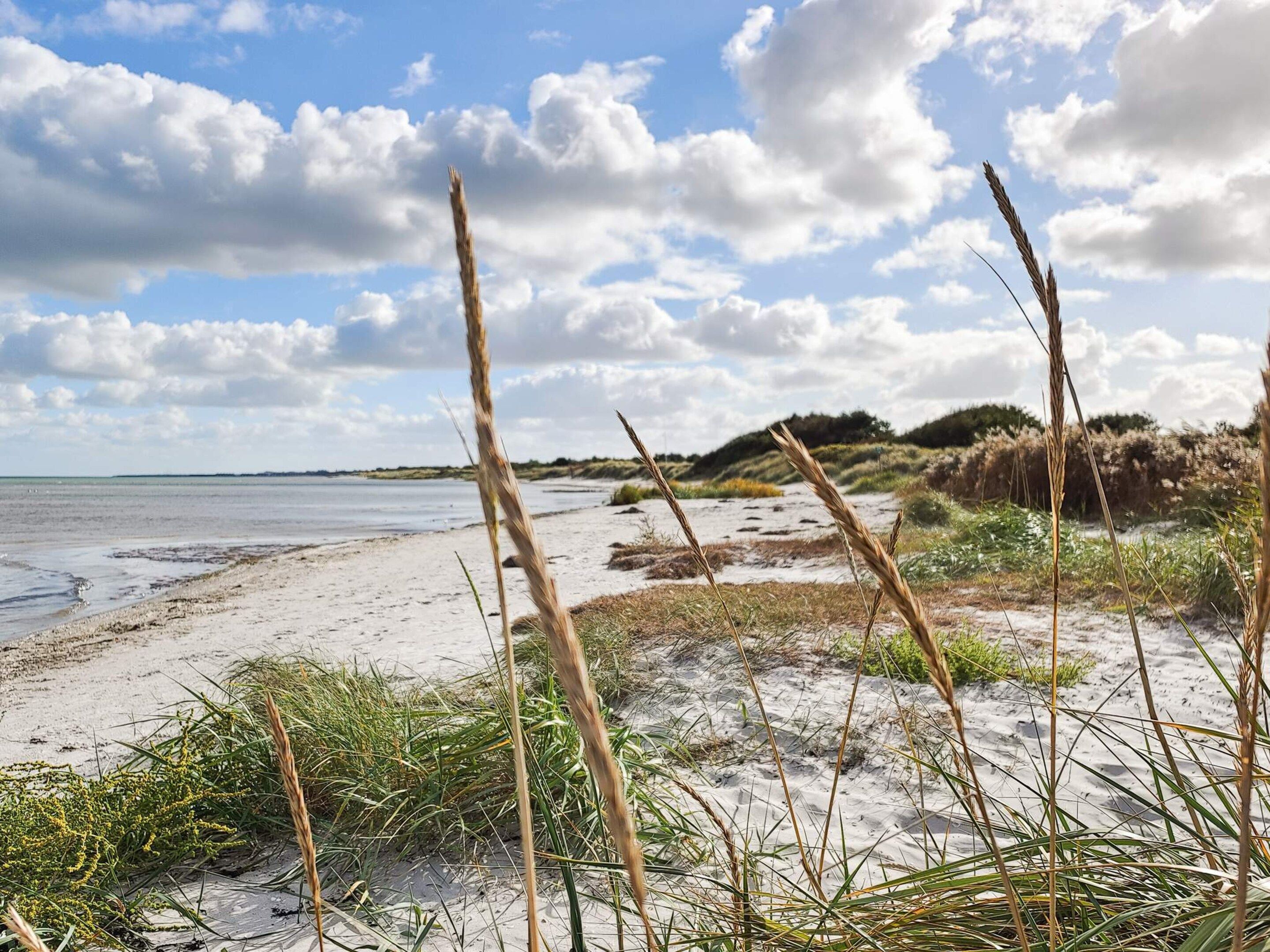 Une plage avec des dunes de sable et une végétation clairsemée.