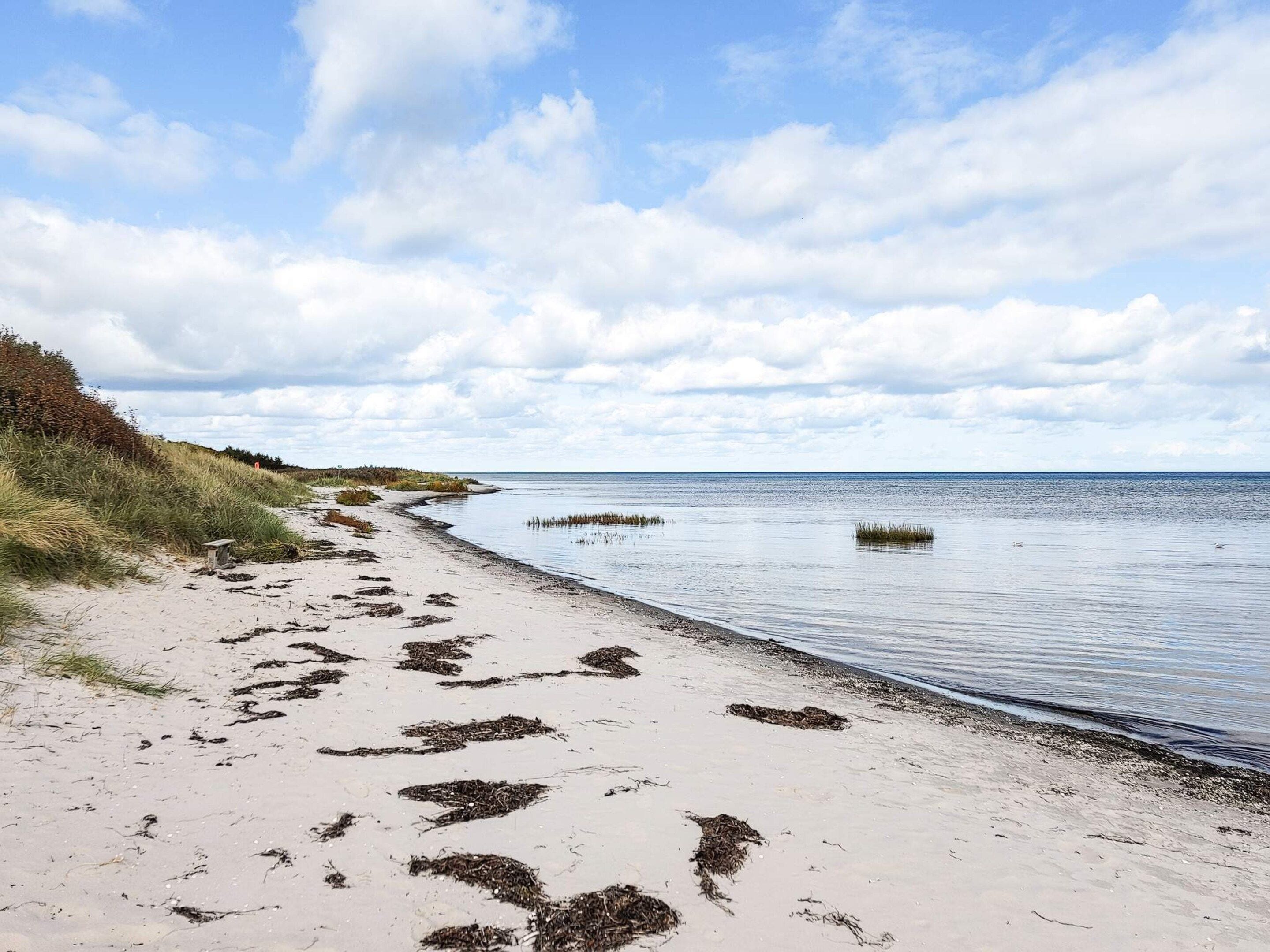 En strand med en sti af sand der fører ned til vandet, vegetation til venstre og en delvist overskyet himmel.