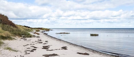 A beach with a sandy path leading to the water, some vegetation on the left, and a partly cloudy sky.