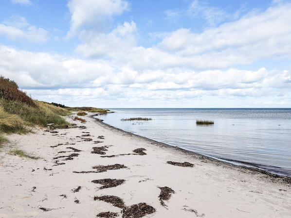 A beach with a sandy path leading to the water, some vegetation on the left, and a partly cloudy sky.