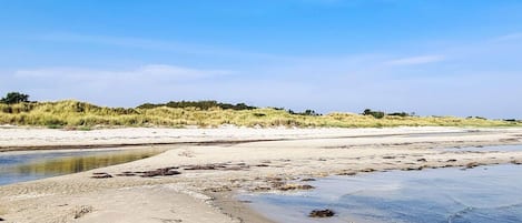 A beach with sand, water, and dunes.