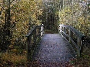 A wooden bridge in a forested area with autumn foliage. - 5 Star Holiday Home in Ansager (Ansager)